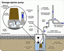 seage pump